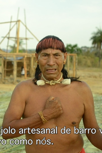 Poster de Filme Uma casa, uma vida (2013)