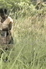 A Colheita do Diabo (A Colheita do Diabo)