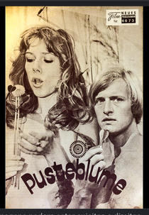 Posteblume (Posteblume)