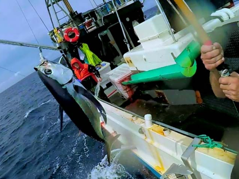 Foto 4 de Pesca Implacável