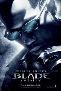 Blade: Trinity - Poster / Capa / Cartaz - Oficial 3