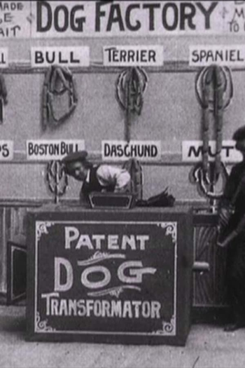 Poster de Curta Dog Factory (1904)
