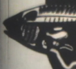 Something Fishy