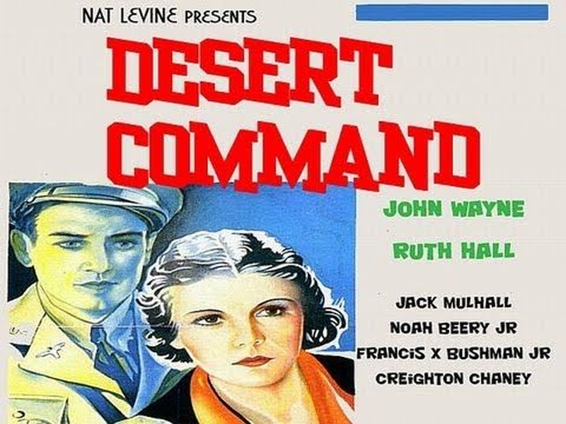 Foto 6 de Desert Command