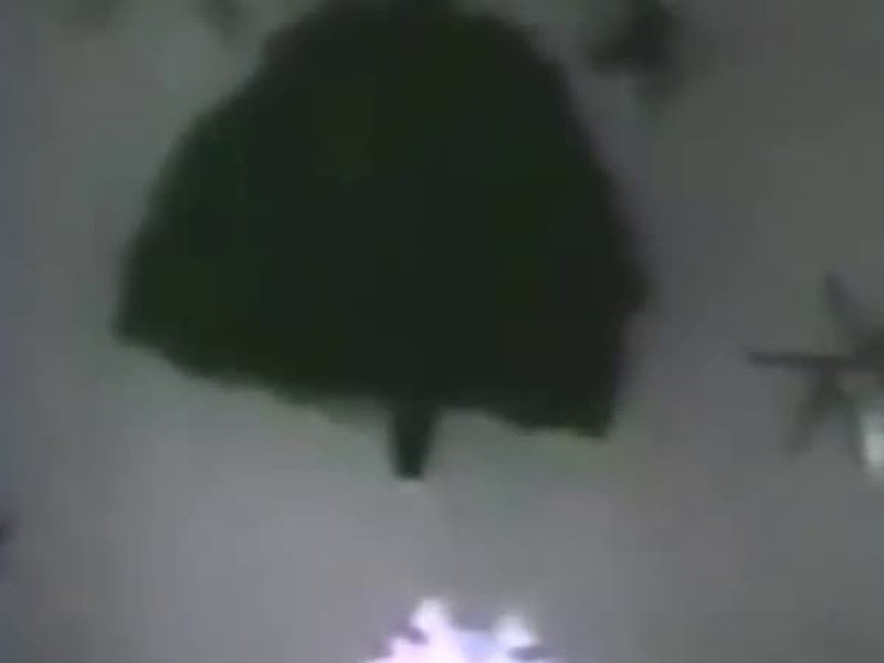 Foto 1 de Suzy Snowflake