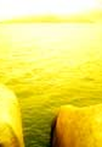 Felicidade (Felicidade)