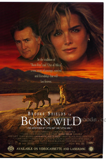  de Filme Missão na Selva (1995)