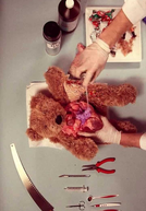 Teddy Has an Operation
