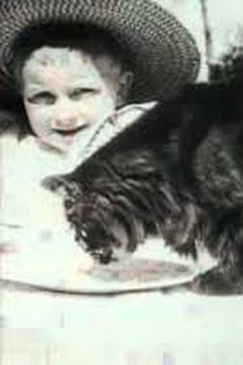  de Curta O Almoço do Gato (1895)