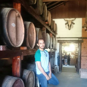 Foto de perfil de Rafael