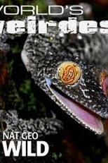 Comportamentos Bizarros (1ª Temporada) (World's Weirdest (Season 1))