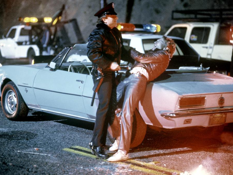 Foto 31 de Dublê de Corpo