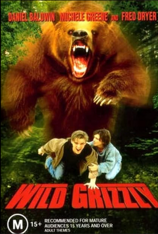 Poster 1 de Filme Uma Cidade em Perigo (1999)