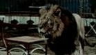 UK-Trailer 'Circus of Fear'