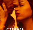 Corpo em Chamas (1ª Temporada)