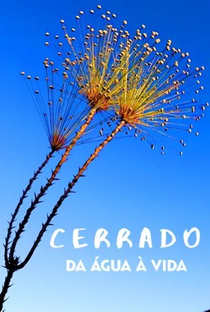 Cerrado: da água à vida - Poster / Capa / Cartaz - Oficial 1