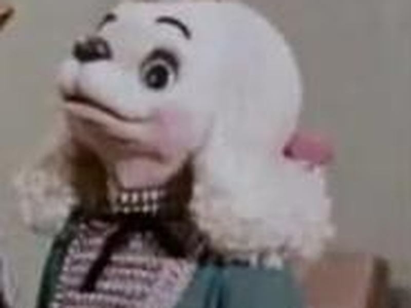 Foto 4 de As Aventuras do Supercão