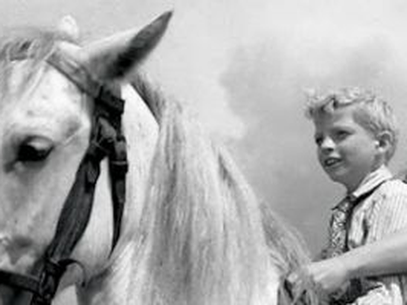 Foto 18 de Viva a República