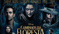 Crítica de Caminhos da Floresta