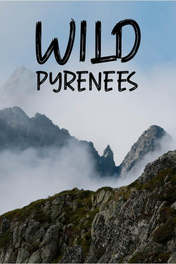 Poster de TV WILD PYRENEES (2020)