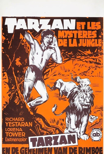 Tarzán y el tesoro Kawana - Poster / Capa / Cartaz - Oficial 1