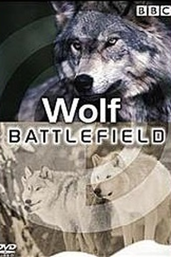 Poster de Filme BBC: Wolf Battlefield (2013)