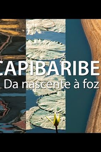 Poster de Curta Capibaribes, da nascente à foz (2015)