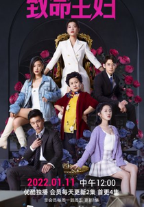 Mortal Housewife (致命主妇)