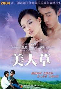 The Foliage (英文名)