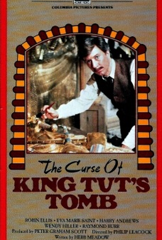 Poster 2 de Filme A Maldição da Tumba (1980)
