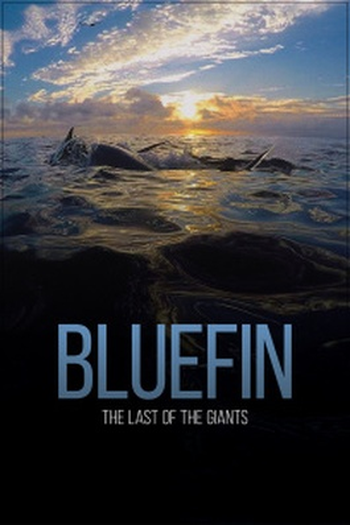  de Filme Bluefin (2016)