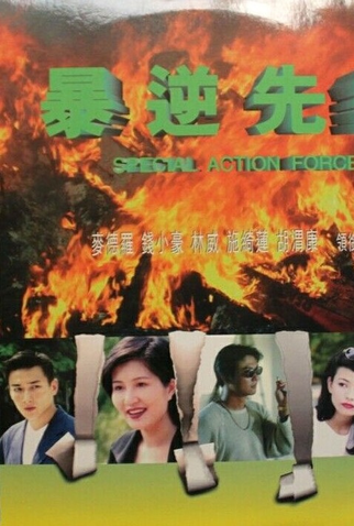 Poster 1 de Filme Special Action Force (1997)