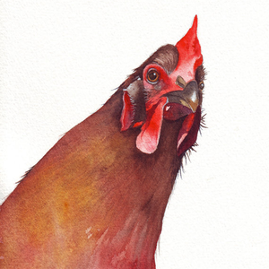 Foto de perfil de G. Oliva