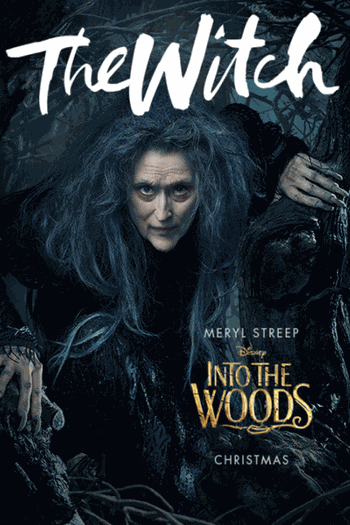  de Filme Caminhos da Floresta (2014)