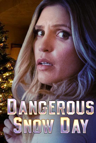 Poster 2 de Filme Dangerous Snow Day (2021)