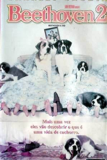  de Filme Beethoven 2 (1993)