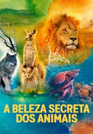 A Beleza Secreta dos Animais (1ª Temporada) (Animal (Season 1))