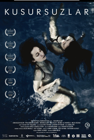 Poster 1 de Filme THE IMPECCABLES (2013)