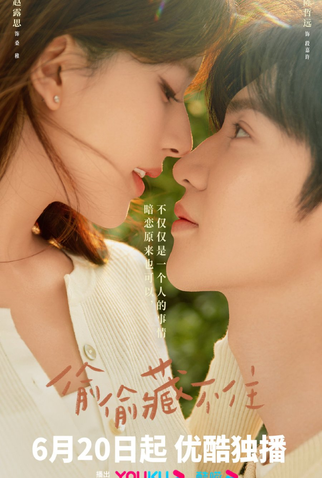 Poster 2 de Série Hidden Love (2023)