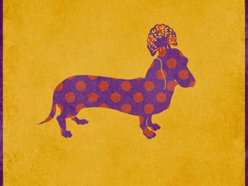 Foto 2 de Um Cão Andaluz