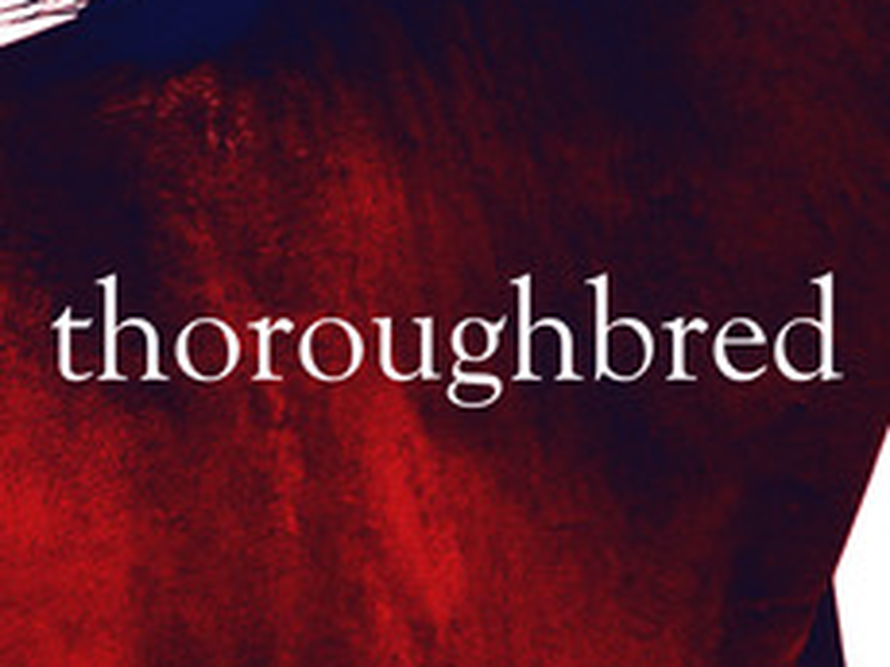 Foto 1 de Puro-Sangue