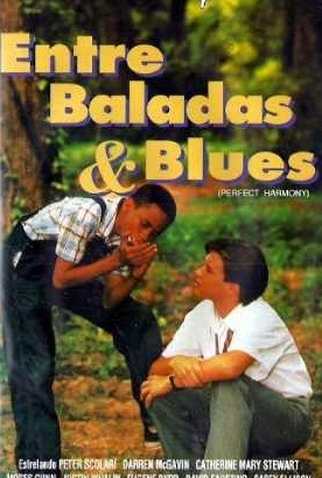 Poster 1 de Filme Entre Baladas & Blues (1991)