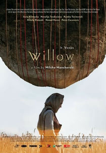 Willow (Vrba) (Willow (Vrba))