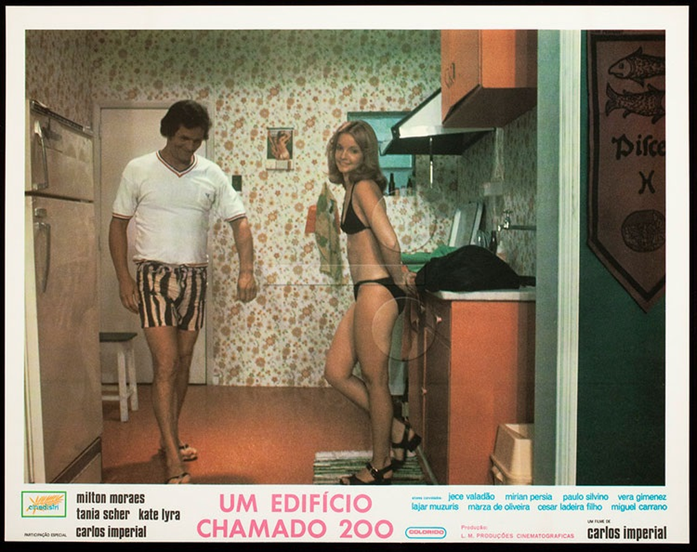 Fernando Portella - Foto 5