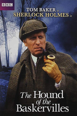 The Hound of the Baskervilles (The Hound of the Baskervilles)