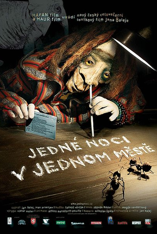 Poster 1 de Filme Uma Noite na Cidade (2007)