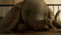 Disney divulga novo trailer da live-action de Dumbo