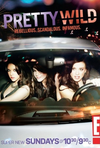 Poster 1 de Série Pretty Wild (2010)