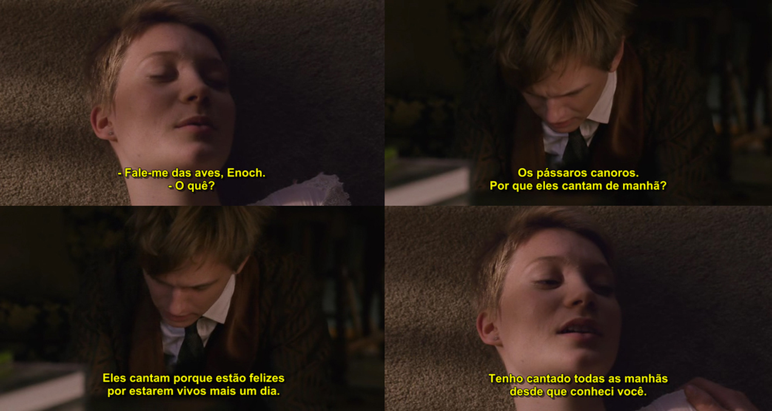 Leandro - Foto 5