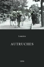 Avestruzes (Autruches)
